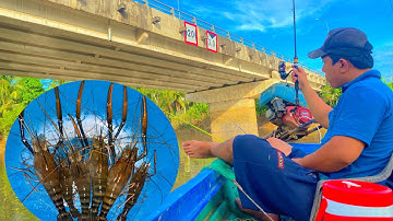 Tập 181: đeo trụ cầu câu tôm sông, trúng ngay ổ tôm càng lửa- nó kéo quá mạnh