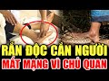 âš ï CẠNH Bà O RẠN Ä á C CẠN NGÆ á œI MẠT MẠNG VÃŒ CHá QUAN Lá œI CẠNH Bà O THVL CHUYá N CẠNH Bà O 2025 âš ï CẠNH Bà O RẠN Ä á C CẠN NGÆ á œI MẠT MẠNG VÃŒ CHá QUAN Lá œI CẠNH Bà O THVL CHUYá N CẠNH Bà O 2025