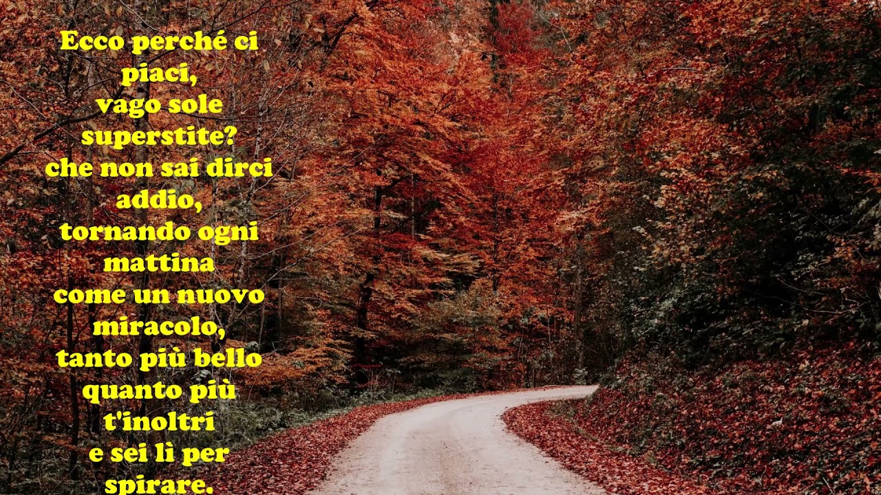 Vincenzo Cardarelli: OTTOBRE - Le videopoesie di Gianni Caputo
