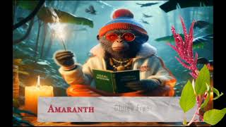 AMARANTH  (ZEN THE HERB GURU)