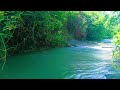 Relaxing Sounds for Sleep 🌲 Healing Water Sounds for Sleep