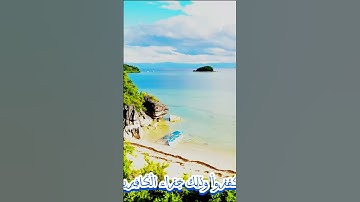 سورة التوبة و،؛كا.نك تسمعها لأ؛؛و.ل مر.ة💖💟،.🌺💘💙؛،❣️💚بصوت الشيخ حمزة مد؛بو.ح 🌼🌸💔..💓❣️🌻؛،💮