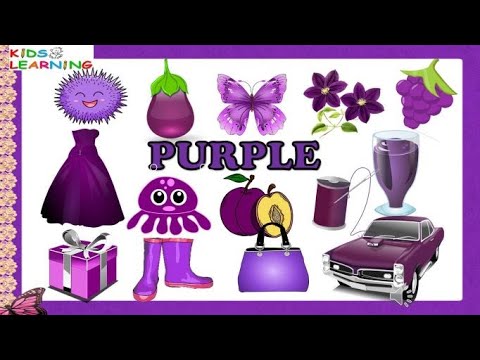 Purple I Things that are purple I Purple colour things I Learning colours for kids I Purple colour