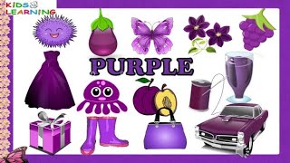 80+ Interesting Things that are Purple • 7ESL