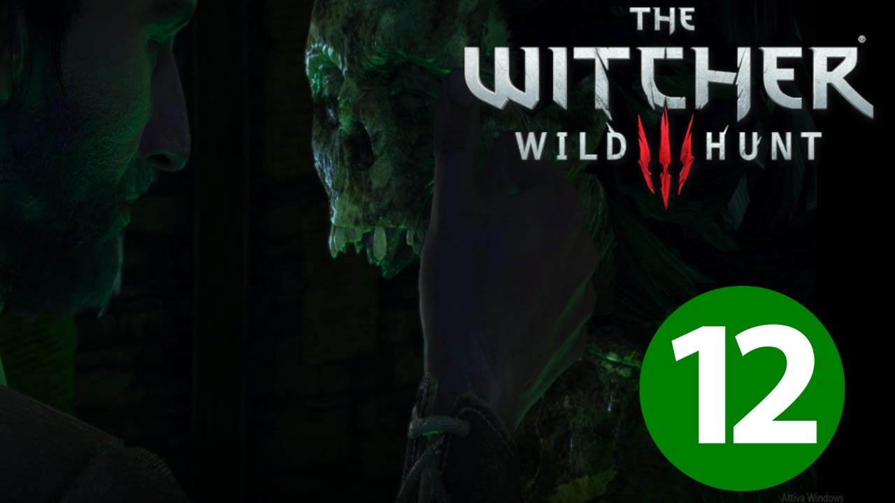 THE WITCHER 3: WILD HUNT [parte12]: UNA MONTAGNA DI TOPI - YouTube
