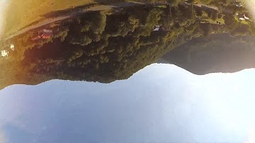 FPV - Nature and a dog / Martian II PID tunnig
