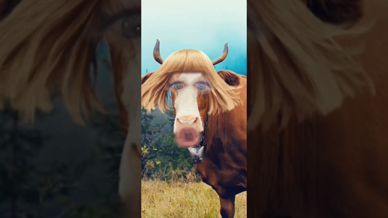 Is that  a cow or a 🐷 piggy or a goat