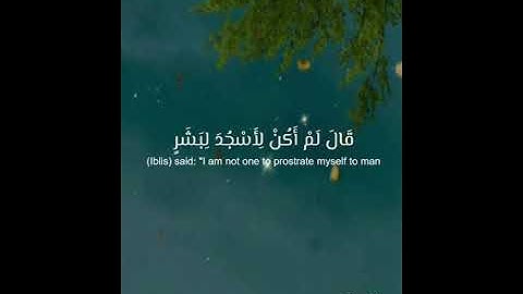 اجمل التلاوات | آيات كريمة من سورة الحجر بصوت القارئ رعد الكردي