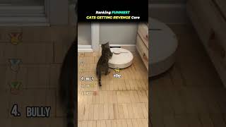 Ranking FUNNIEST CATS GETTING REVENGE! 😾💢