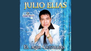 Video thumbnail of "Julio Elías - Con Lagrimas"