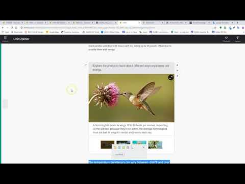 Using Google Translate 1 Click Translations