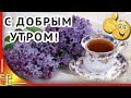 С Добрым утром друзья! Сиреневого настроения на весь день! Музыкальное поздравление с добрым утром