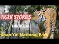 True Stories of Wild Tigers at Khao Yai National Park Thailand - Khao Yai Part 1 - Hiking on Trail 5