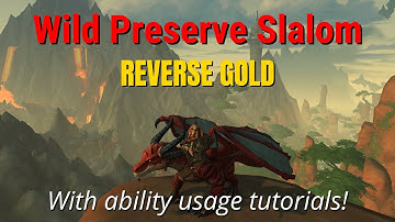 REVERSE GOLD - Wild Preserve Slalom - The Walking Shores - Dragonflight WoW Racing Series