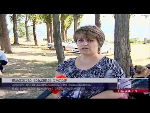 MOE: სიუჟეტი დანაგვიანებული გარემოს შესახებ