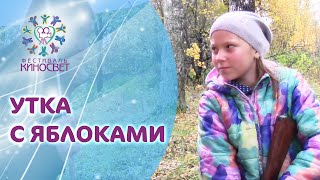 Студия Студия