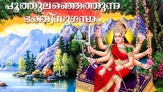 പൂത്തുലഞ്ഞെത്തുന്ന..| New Hindu Devotional Songs Malayalam | Devi Song | Attukal Devi Song New