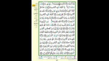 الصفحة ٤٥٠ من القرآن الكريم...القارئ د.بريك سعد بريك