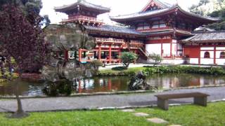 Temple Water Morph