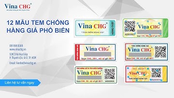 12 Mẫu Tem Chống Hàng Giả Phổ Biến Nhất Hiện Nay - Vina CHG