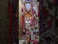 power of Hanuman's🔥Chant with Faith #trinetra #anjaneya #hanuman #ytshort #hanumanji #hanumanbhajan