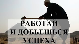 видео 16.Социальная работа как социальный институт.