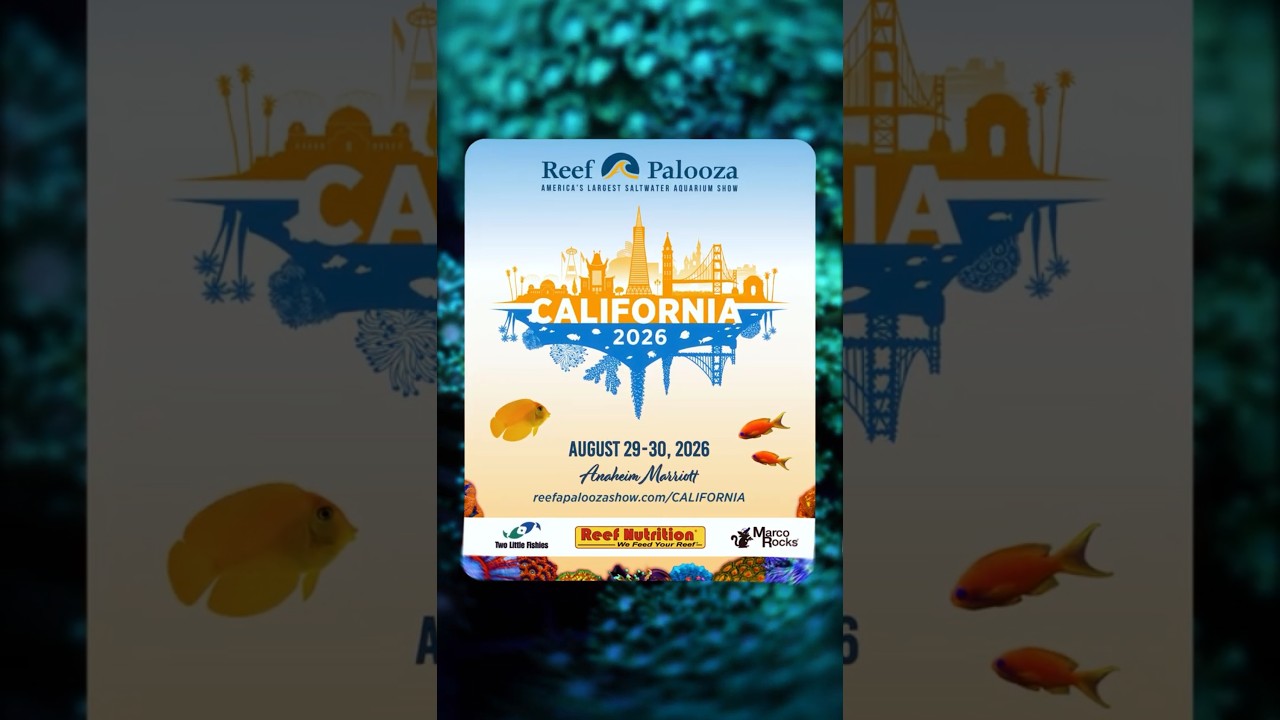 Reefapalooza California - August 29-30, 2026 #reefapalooza #aquariumshow #reeflife