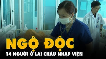Nghi ngộ độc sau khi ăn canh nấm lạ, 14 người ở Lai Châu nhập viện