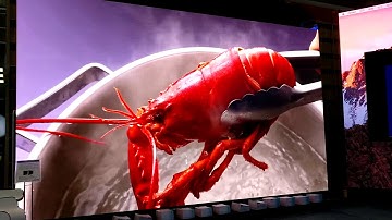 Indoor MG6 P2 84 from Yestech  Iris Zhang