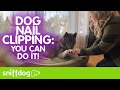 How to Clip Your Dogs Nails if They Hate it - You Can Do It!