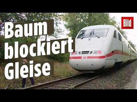 450 Fahrgäste sitzen