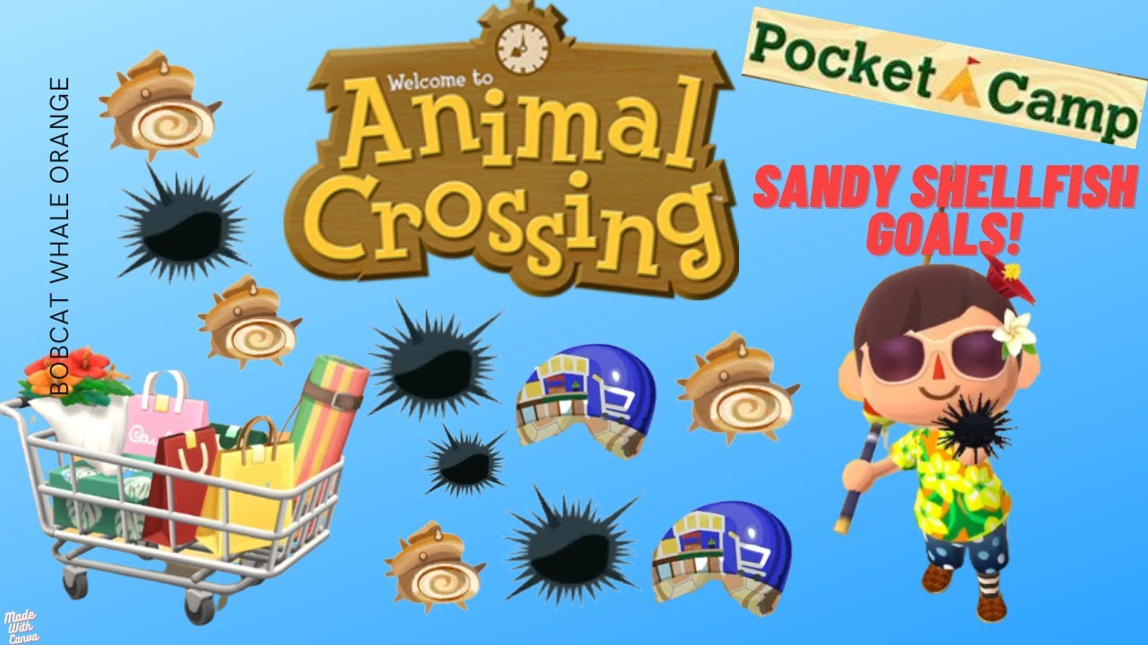 Sandy Shellfish Goals in Animal Crossing Pocket Camp!🏜🐚 YouTube