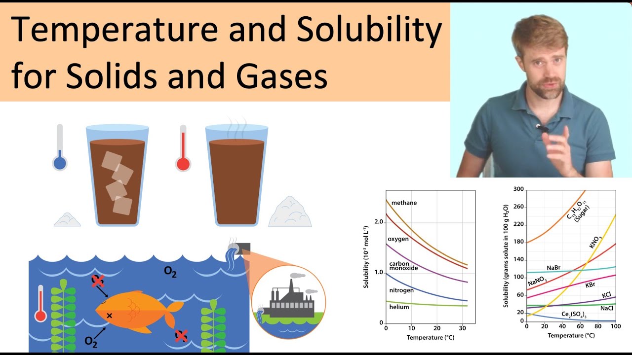Temperature And Solubility: Solids And Gases