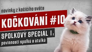 KOČKOVÁNÍ #10 - Spolkový speciál 1: povinnosti spolků a útulků by Kočkování 109 views 8 months ago 2 hours, 33 minutes