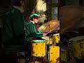 Alexia Harpa : Cat from Boekarest Romania | Live from Amsterdam