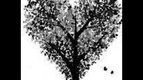 The Heart of the Tree Workbook Answers