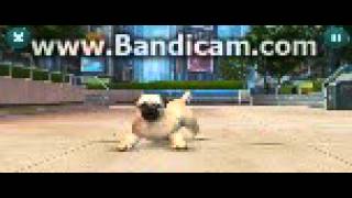 Kinectimals Ep.1 ELLIE DA PUG