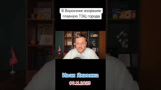 3 часть #иваняковина #тэцворонеж #ответкаоккупантам... #Shorts #elisbereg