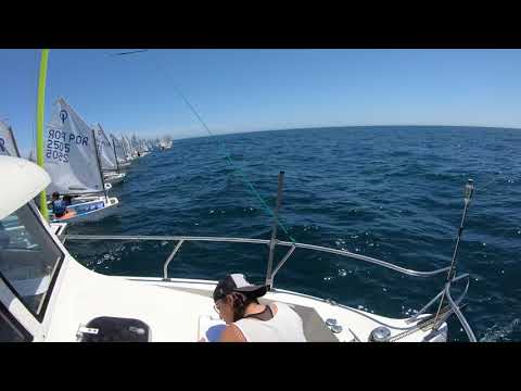 R1 Optimist Yellow - Start