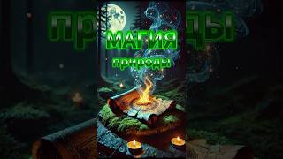 Магия природы. Сел на холодный камень? Это опасно! #защитная магия #мистика #оберег