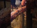 بناء كوخ في الغابة الجزء الثامن بناء