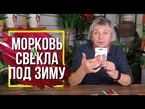 Сорта Моркови и Свеклы которые САЖАЮТ Под Зиму ✔️