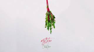 Caleb Hearn - Mistletoe (Official Visualizer)