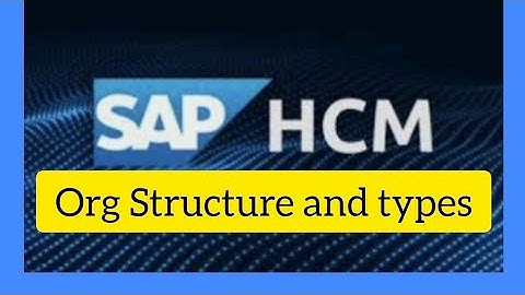 I Organizational Structure Introduction in SAP HCM I SAP Technologies I