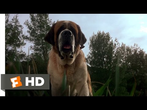 Cujo (1/8) Movie CLIP - A Bat Bites Cujo (1983) HD