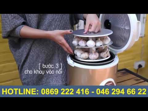 Hướng Dẫn Cách Làm Tỏi Đen Bằng Máy Làm Tỏi Đen Gia Đình Tiross TS904