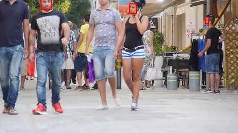 Real-time Face Tracking with Fast MTCNN