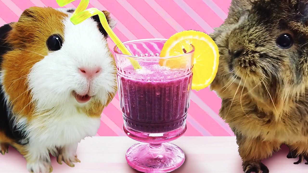 День веры - Свинка Бузя и приключения для детей. Мультики на русском