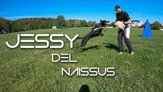 Jessy del Naissus - training by Filip Lazarevic 456 views 2 years ago 1 minute, 41 seconds