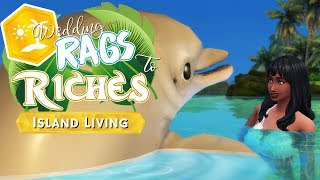 Swimming with DOLPHINS?! 🌴 RAGS to ISLAND RICHES • #6